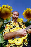 Sunflower4.jpg (232086 bytes)